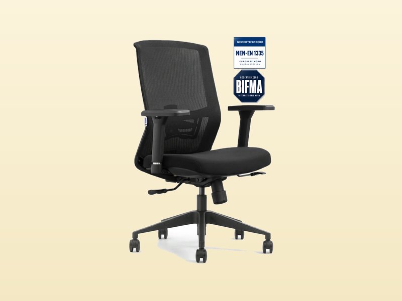 Stane Classic Basic Ergonomische Bureaustoel, ergonomische bureaustoel, mesh rug, verstelbare lendesteun, uit de test van Het Oordeel